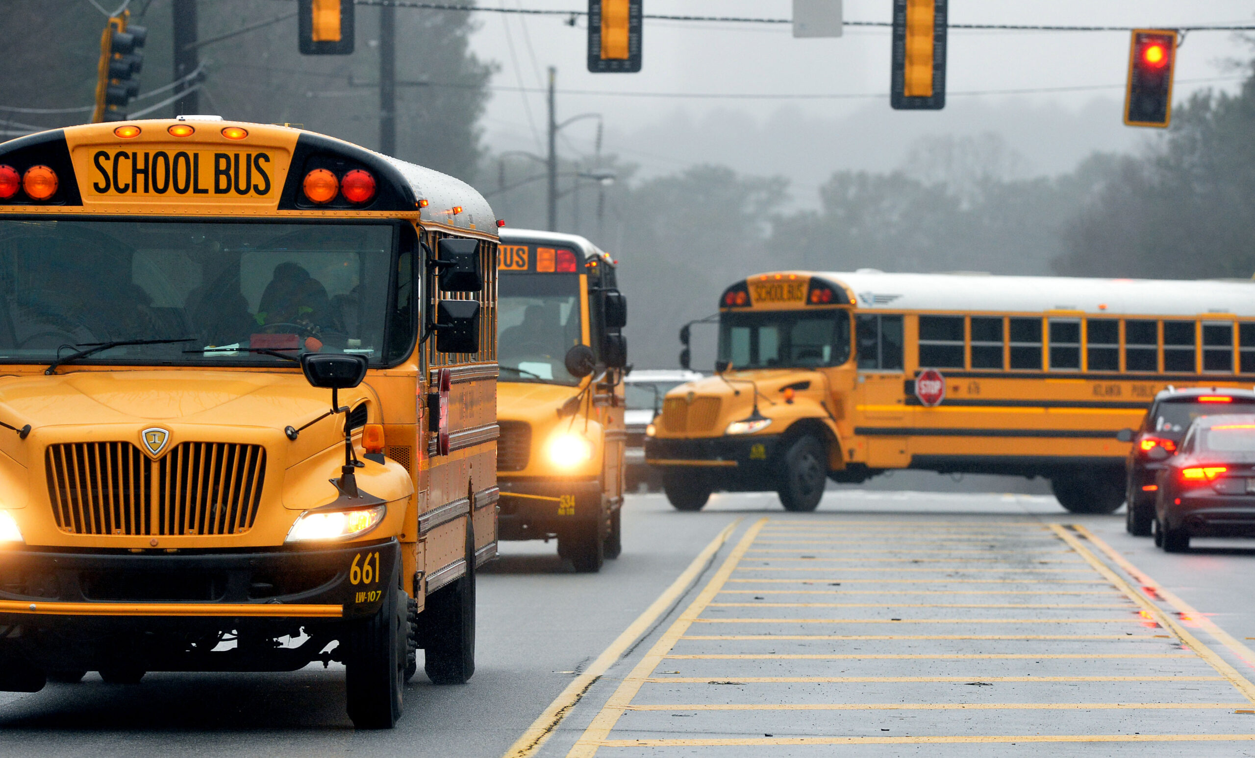 Line of school buses