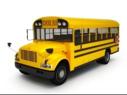 School Bus Accident Causes Injuries in Newton County