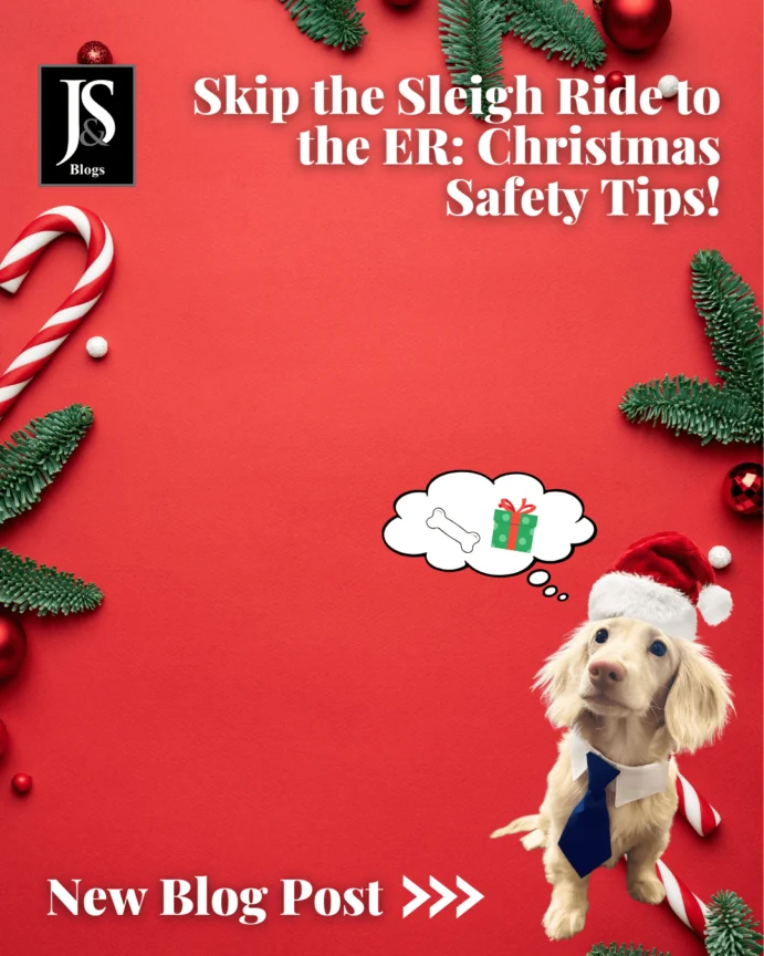 Skip the Sleigh Ride to the ER: Christmas Safety Tips!